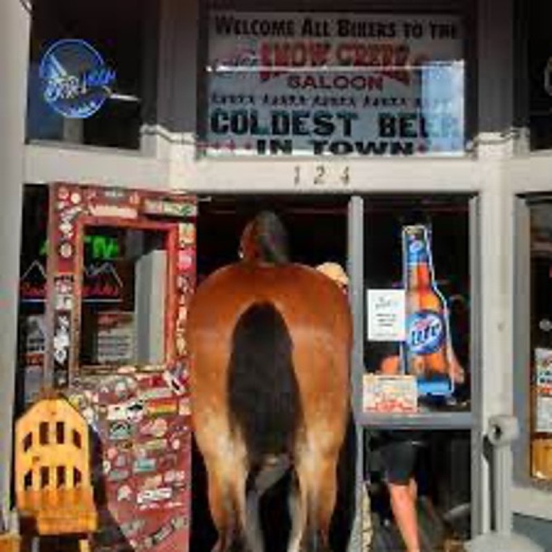 Blue Ribbon, Snag, and Snow Creek 